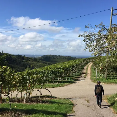 Ferienwohnung Mit Fantastischem Blick In Rheinebene * Sasbachwalden